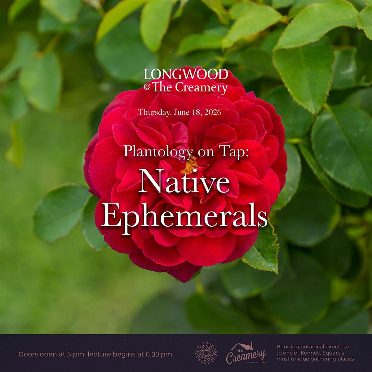 Plantology on Tap: Grow Gorgeous Roses
