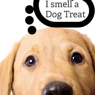 Vicious Fishes Brewery Cary & DOGSNOG dog treats