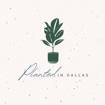 Planted in Dallas