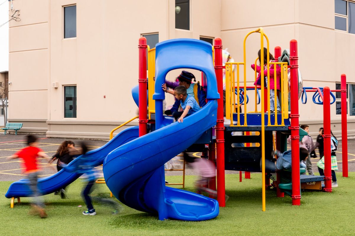 Curious Playground Family Show