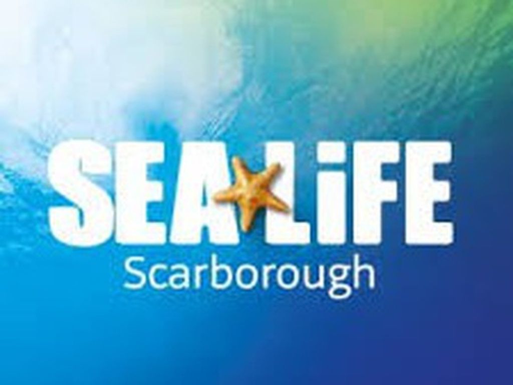 Sea Life Scarborough Standard Admission