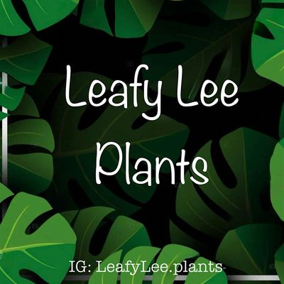 LeafyLee.plants