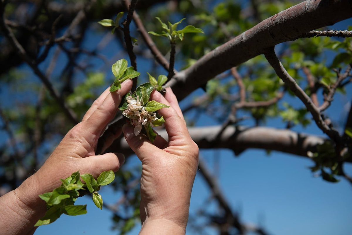 Burritos & Lively Up - Tributes to Sublime and Bob Marley
