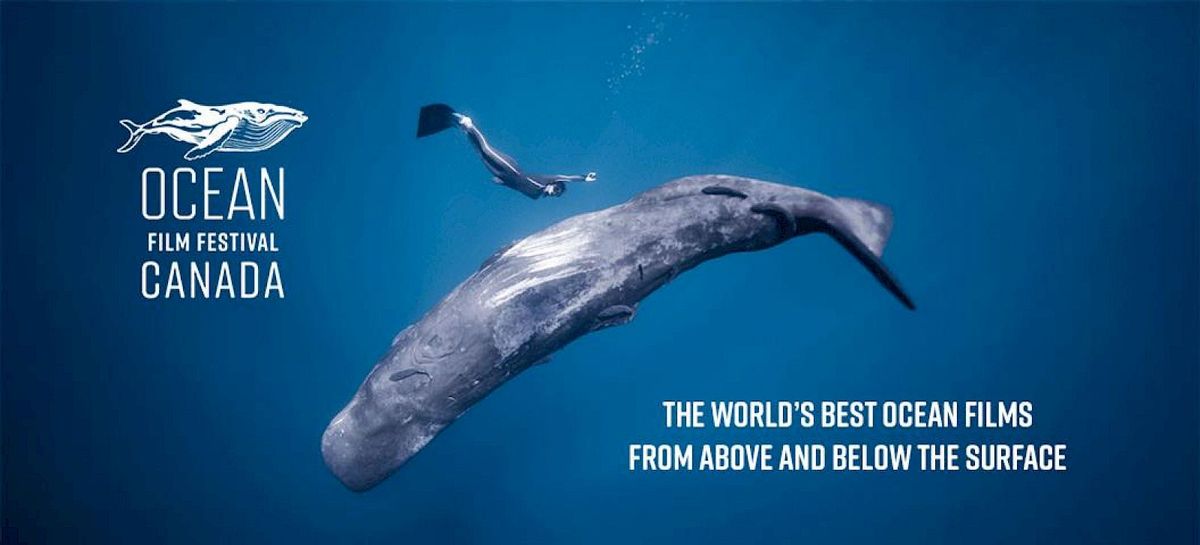 Ocean Film Festival Canada