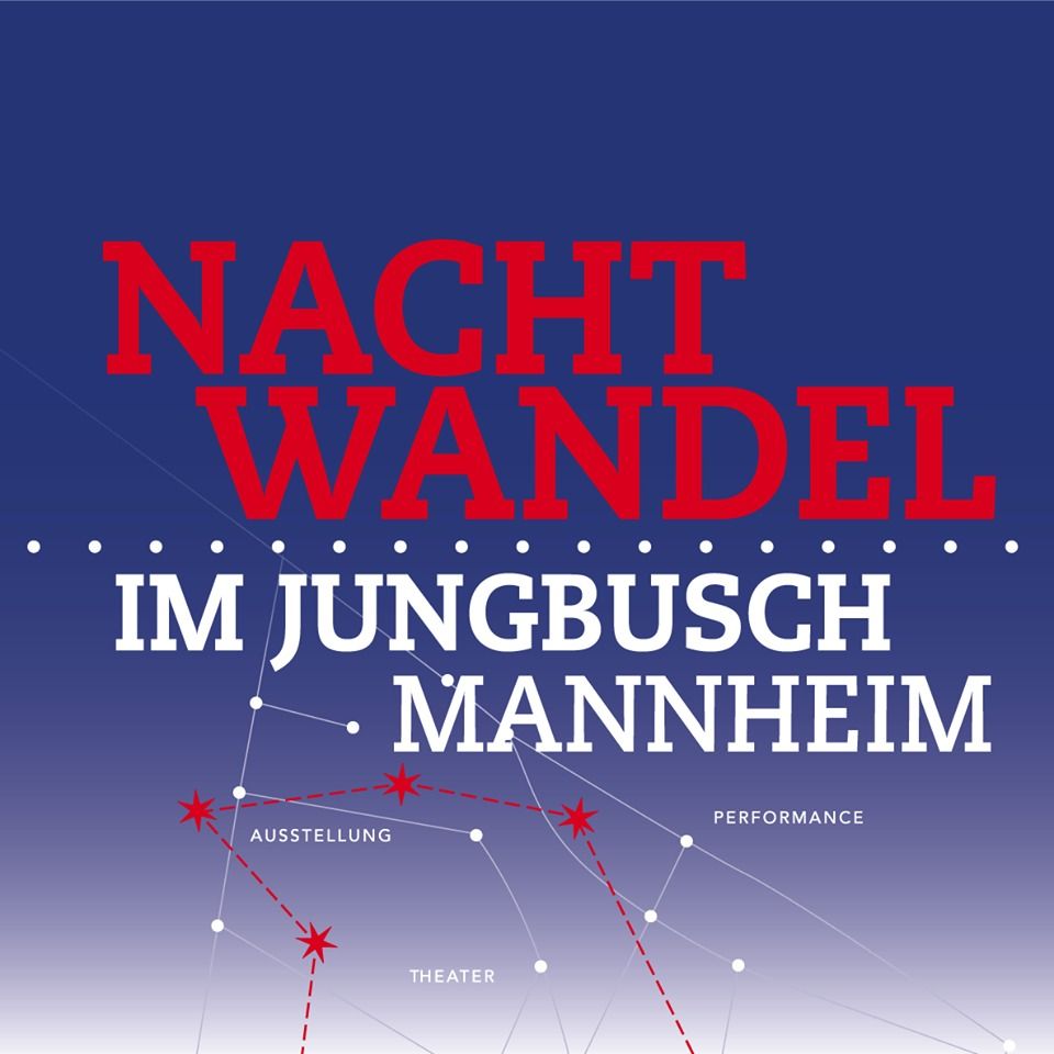 Kultur baut Br\u00fccken (Nachtwandel Alma_monnem\/Capacopter\/Paraberries)