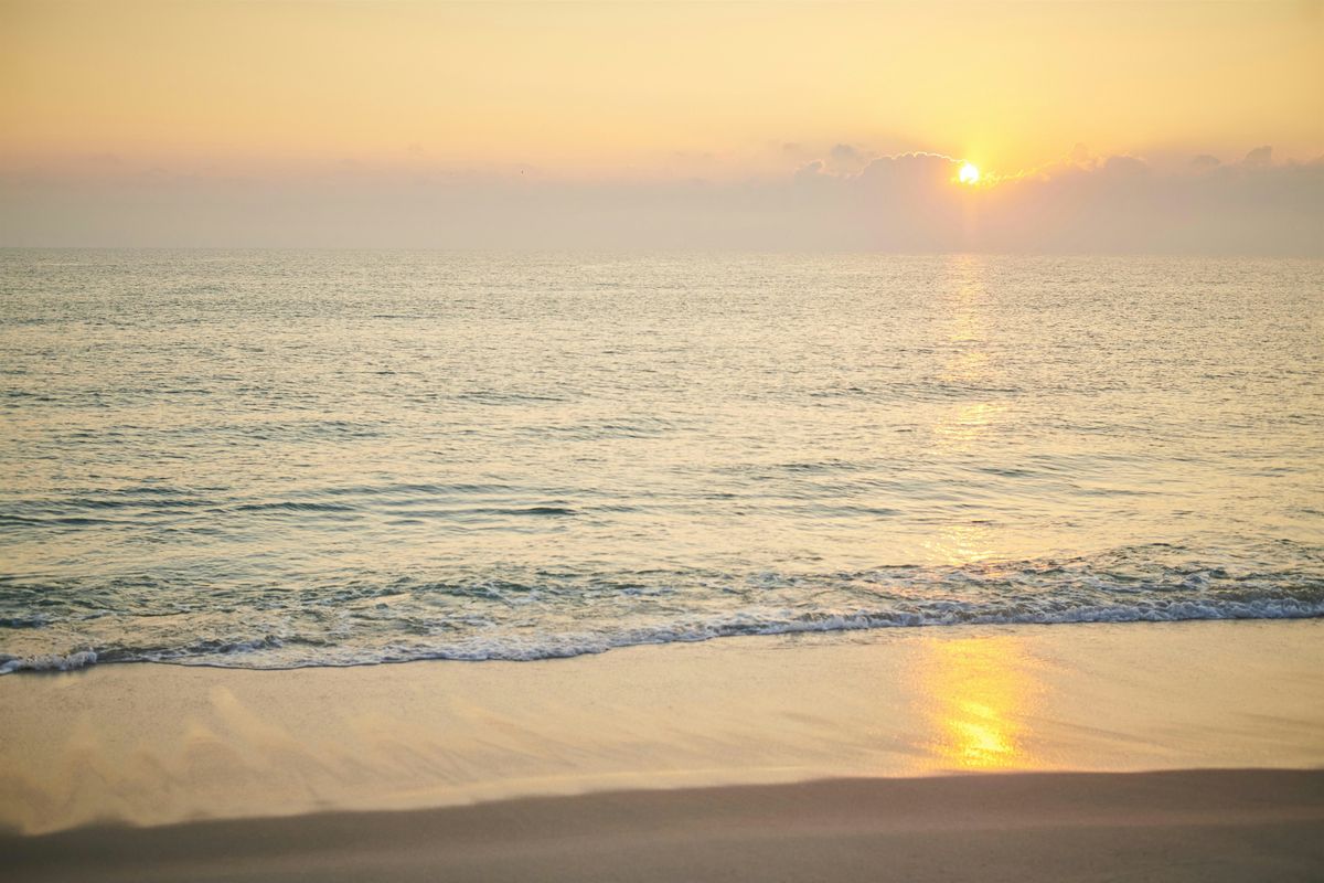 World Meditation Day: Protect Your Peace