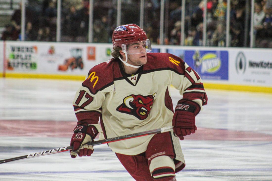 Minot Minotauros at North Iowa Bulls