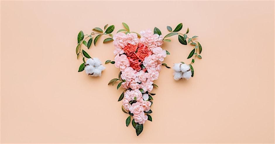 TFBWL presents From Menarche to Menopause\/Part 4: Perimenopause & Menopause