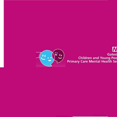Gateshead CYP Primary Care Mental Health Service