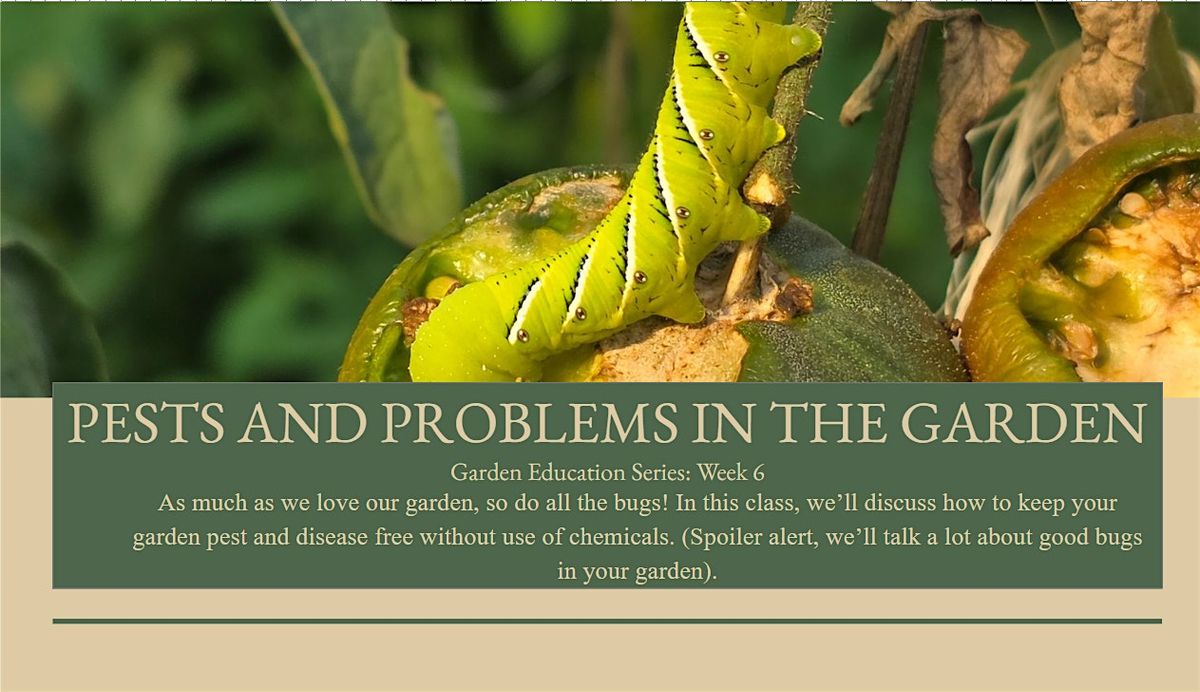 Pests and Problems In The Garden: Garden Education Series
