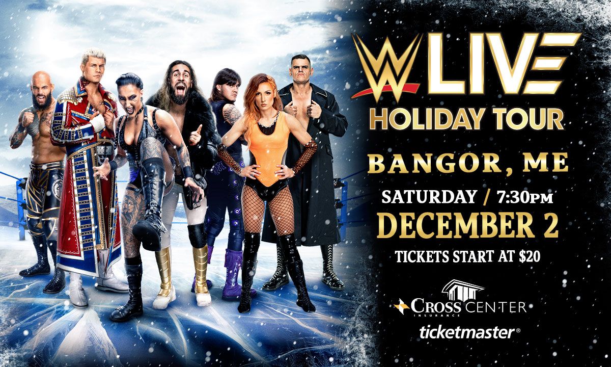 Parking WWE Souvenir Ticket