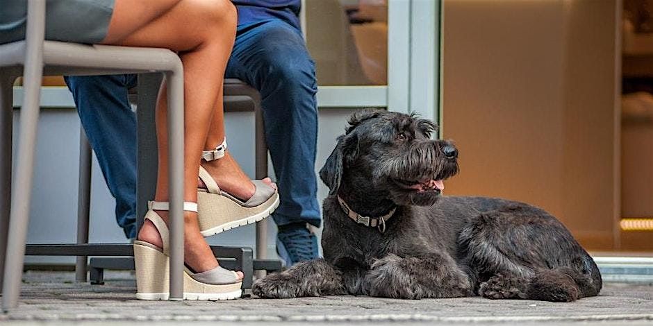 *FLASH SALE 35%* As seen on BravoTV! Blind-Date Matchmaking in Auckland