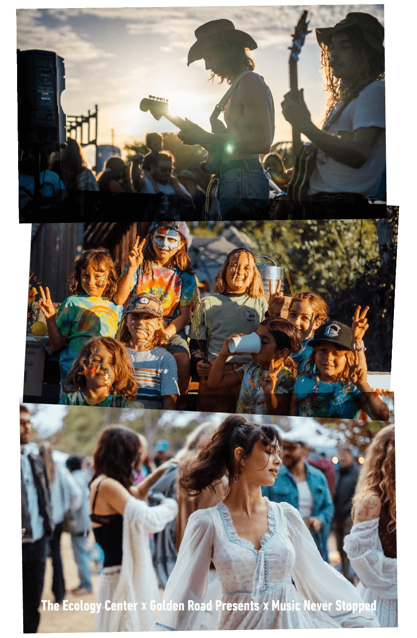Grateful Shred at Old Rock House