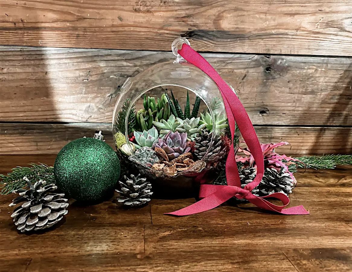 Succulent Ornament Workshop