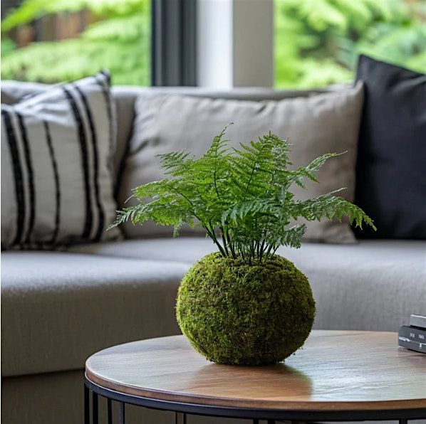 Japanese Kokedama Centerpiece