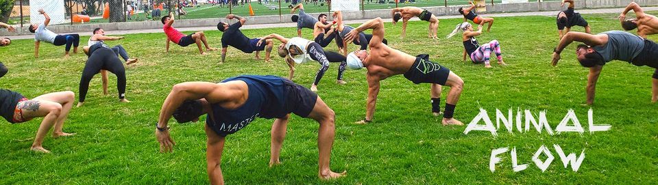 Certificaci n Animal Flow Nivel 1 Asgard Training Center Mexico City 