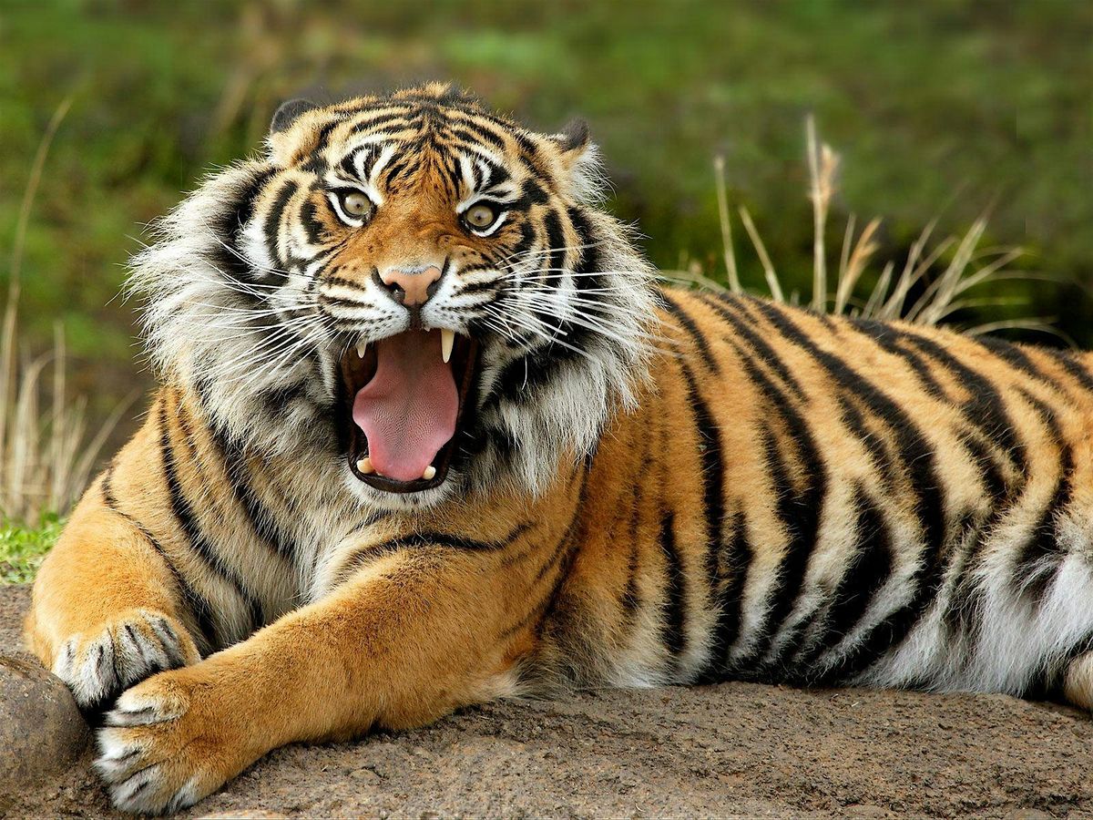 Wildlife Photo Adventure with OM System at the Indianapolis Zoo