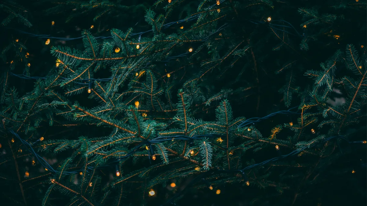 Gals & the Grapevine - Holiday Party + Networking Event!