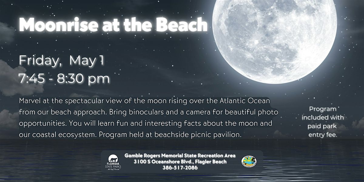 Moonrise at the Beach