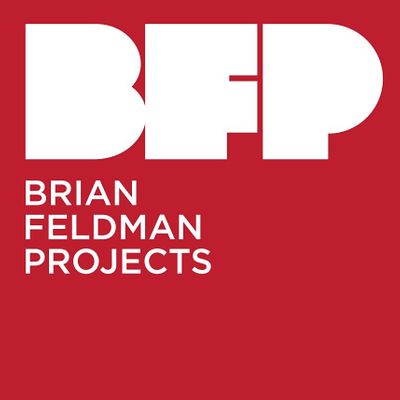 Brian Feldman Projects
