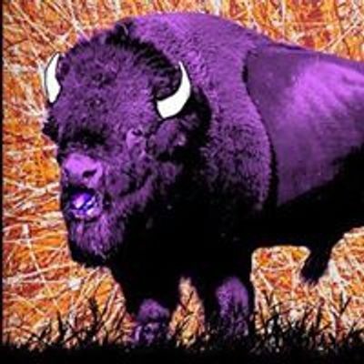 The Purple Buffalo