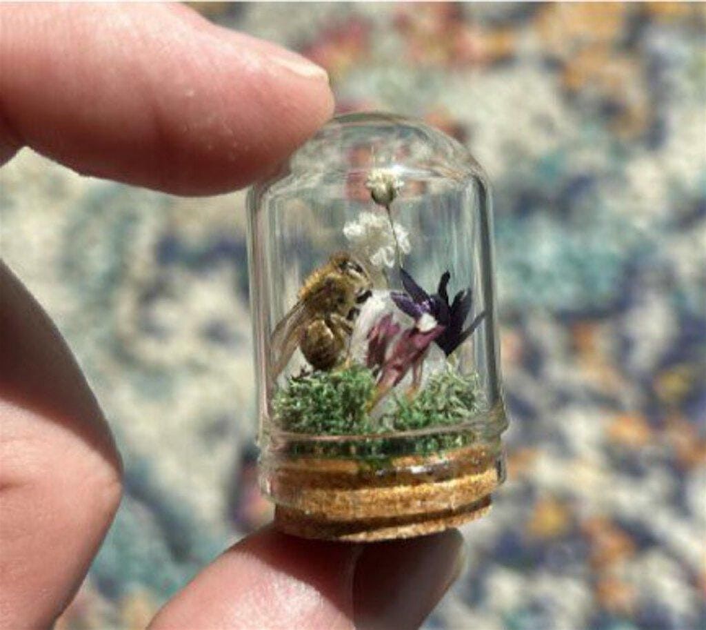 Create Your Own Honeybee or Ladybug Micro Mini World