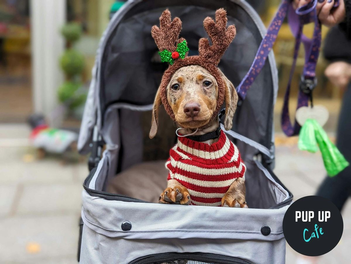 Bath - Dashing Dachshund Christmas Tour \ud83c\udf84