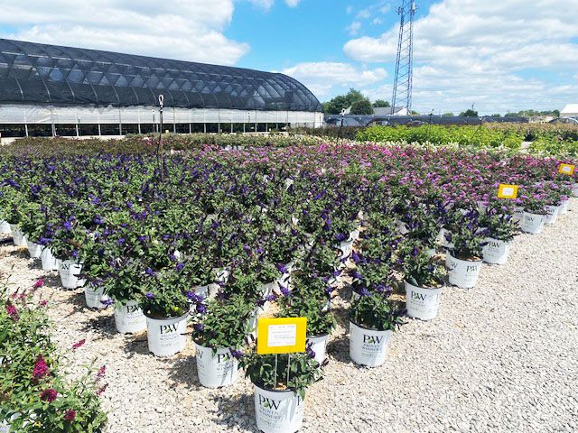 Natorps Grand Re-Opening | Natorp's Nursery Outlet, Mason, OH | August ...