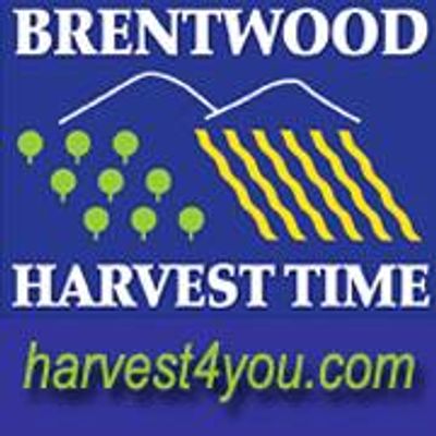 Harvest Time in Brentwood