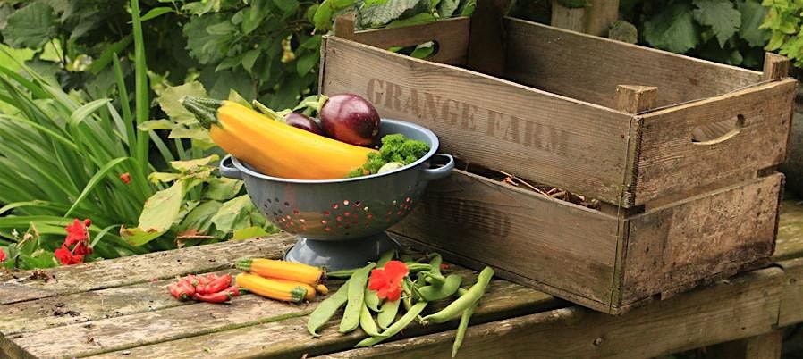 Get going with Grow Your Own (Beginners) with Julia and Jacky