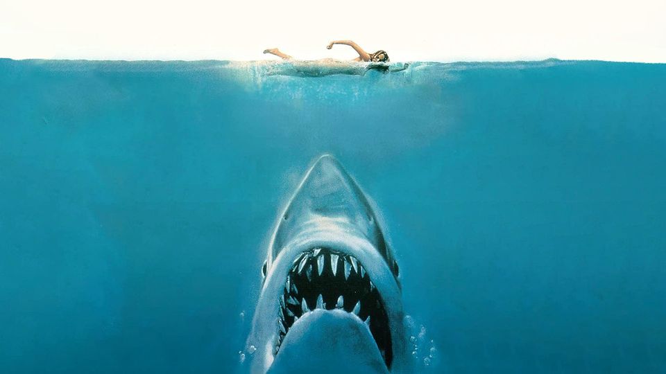 Jaws Movies on the Beach 79 Boston Neck Rd, Narragansett, RI 02882