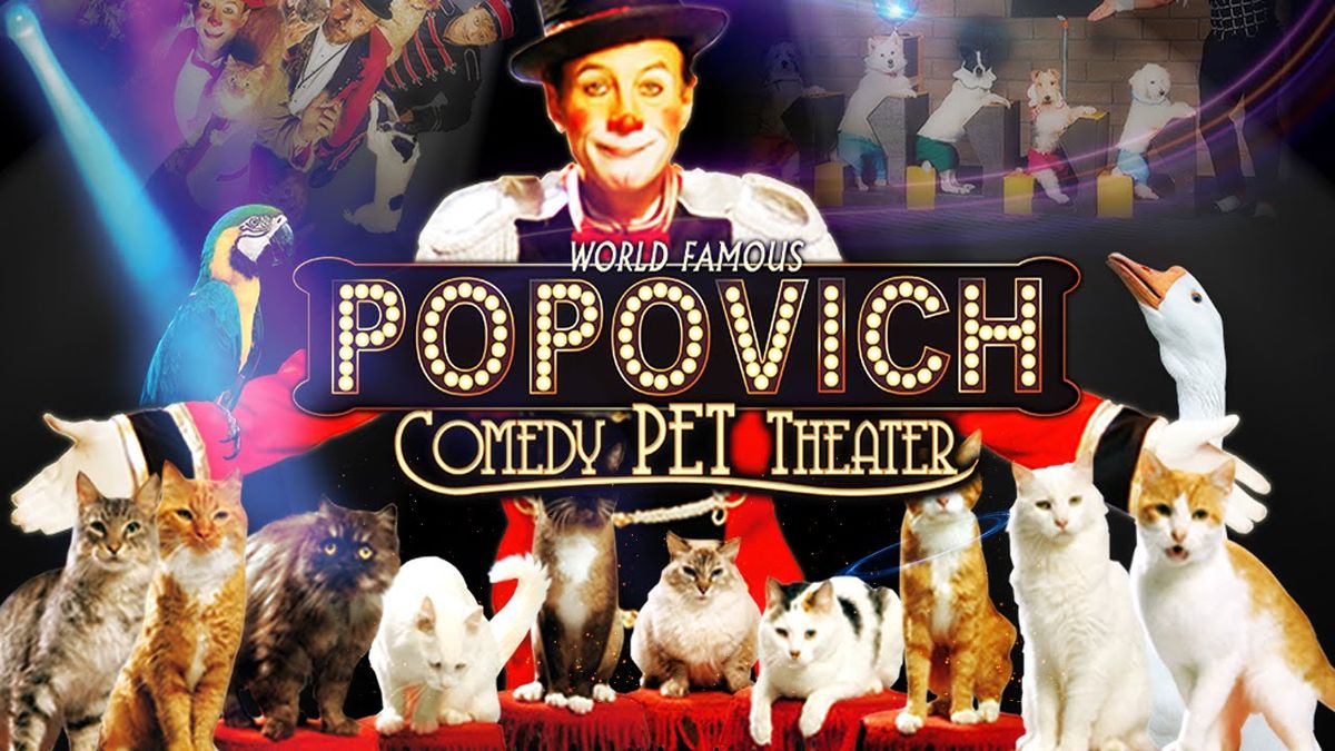 Popovich Comedy Pet Theater at Bank Of America Performing Arts Center - Scherr Forum