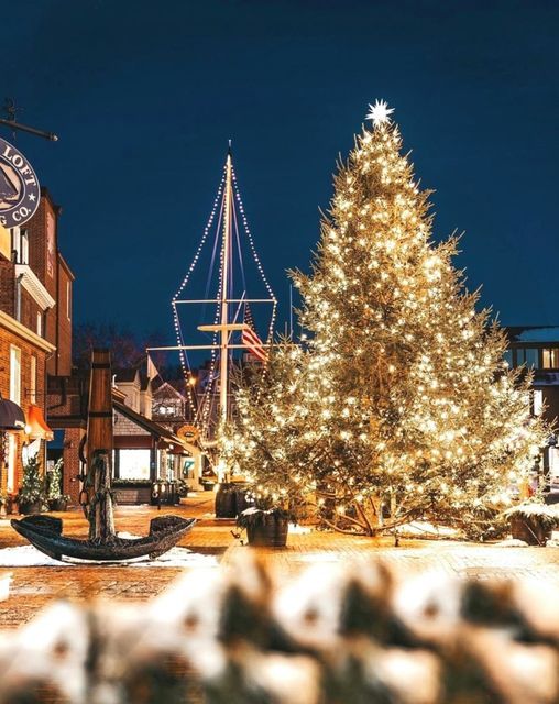 Newport Christmas Tree Lighting 2022 51St Annual Christmas Tree Lighting | Bowen's Wharf, Newport, Ri | December  4, 2021