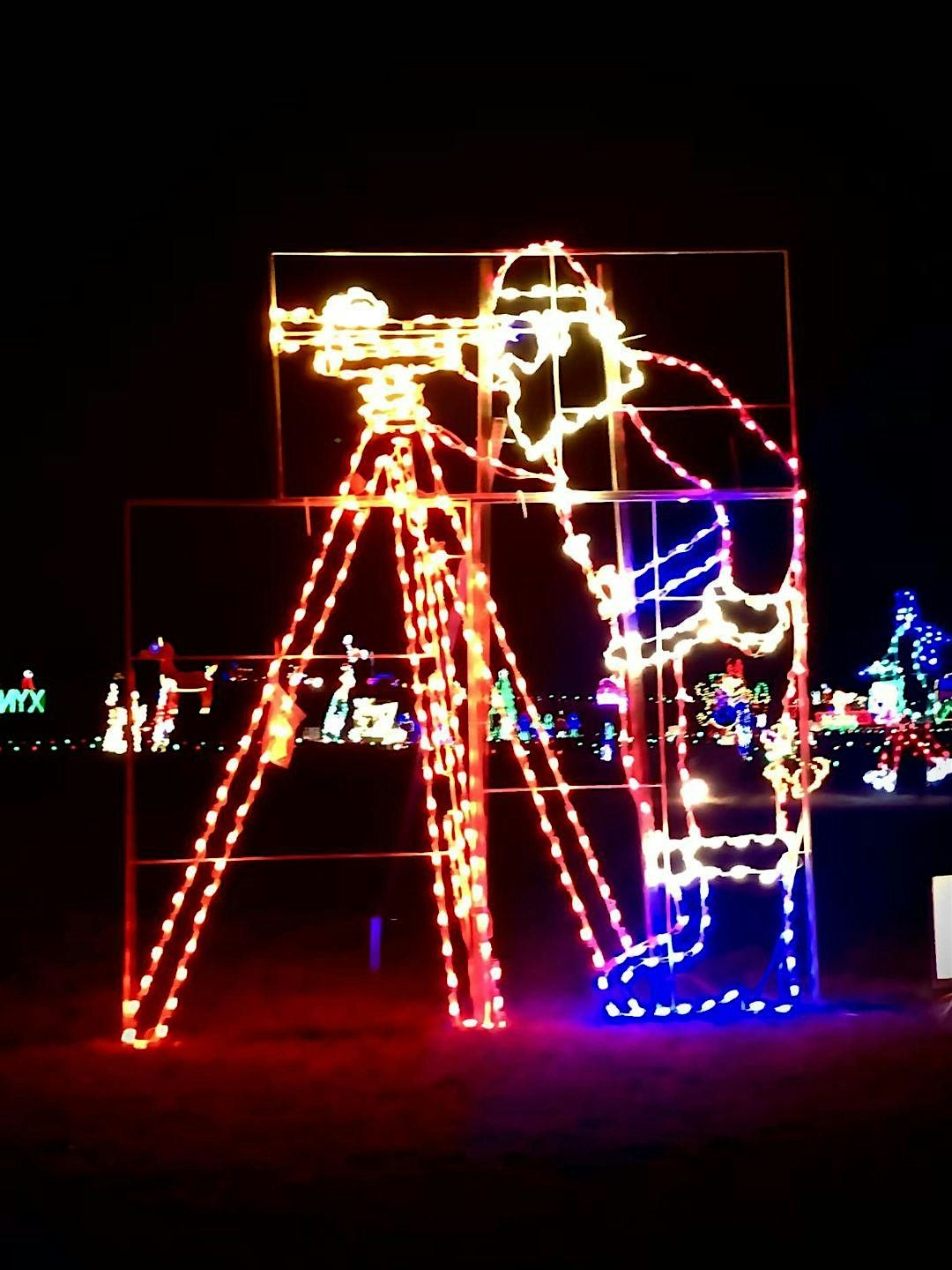 RICS Geospatial Christmas Evening Lecture