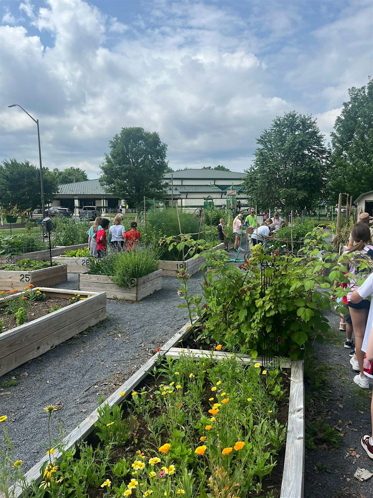 \u2018Petals and Pathways\u2019 Garden Tour