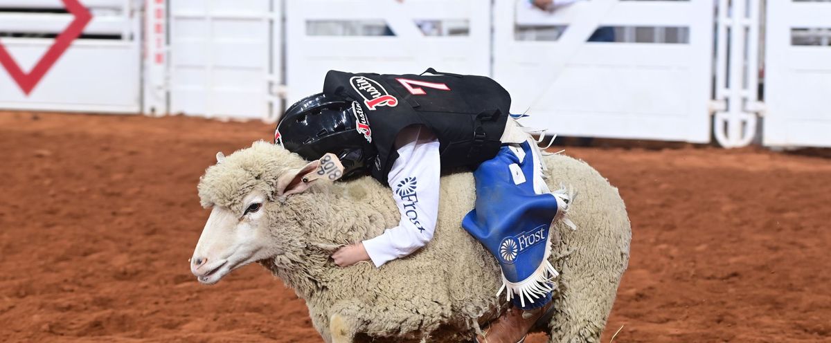 FWSSR: Mustang Magic Horses And Horsemen Of The World