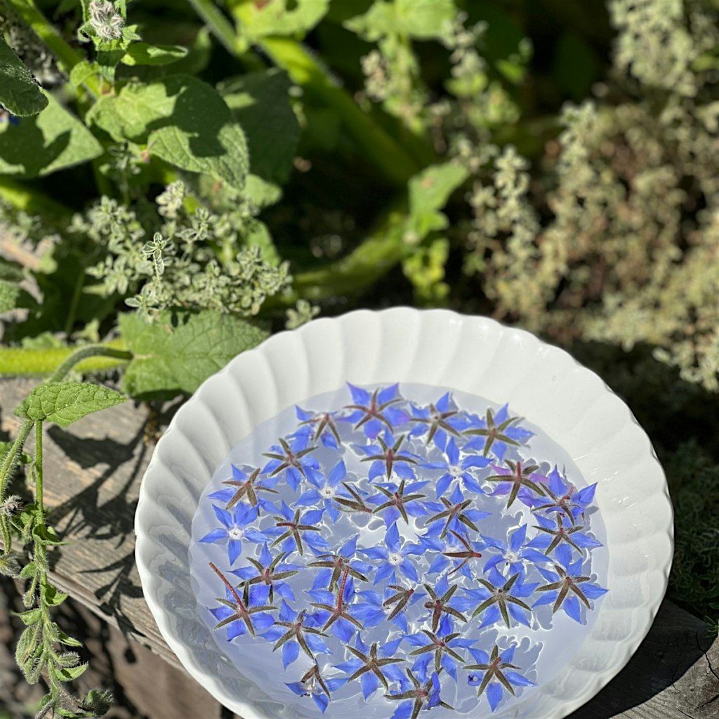 The Spirit of Flowers