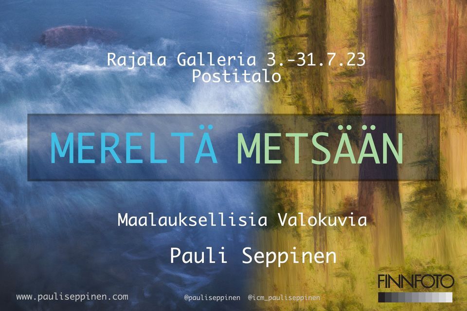 Rajala Gallery: Pauli Seppinen - Merelt\u00e4 Mets\u00e4\u00e4n