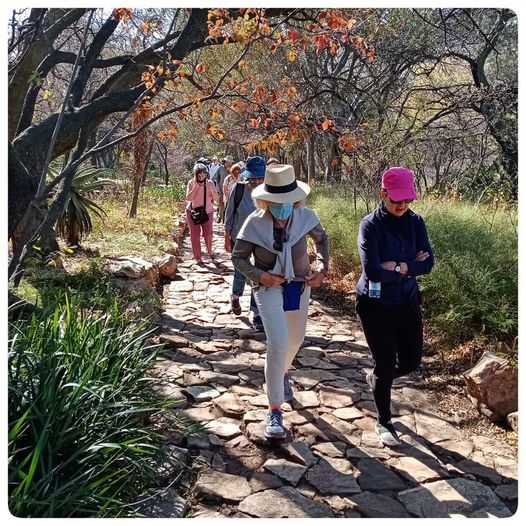 The Wise Wildies Hike At The Wilds The Wilds Municipal Nature Reserve Johannesburg Gt October 19 21 The Wise Wildies Hike At The Wilds The Wilds Municipal Nature Reserve Johannesburg Gt October 19 21