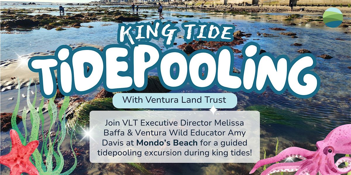 King Tide Tidepooling Excursion