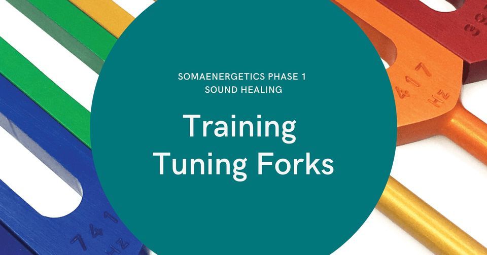 SomaEnergetics Tuning Forks Training TYBU Tune Your Body Up