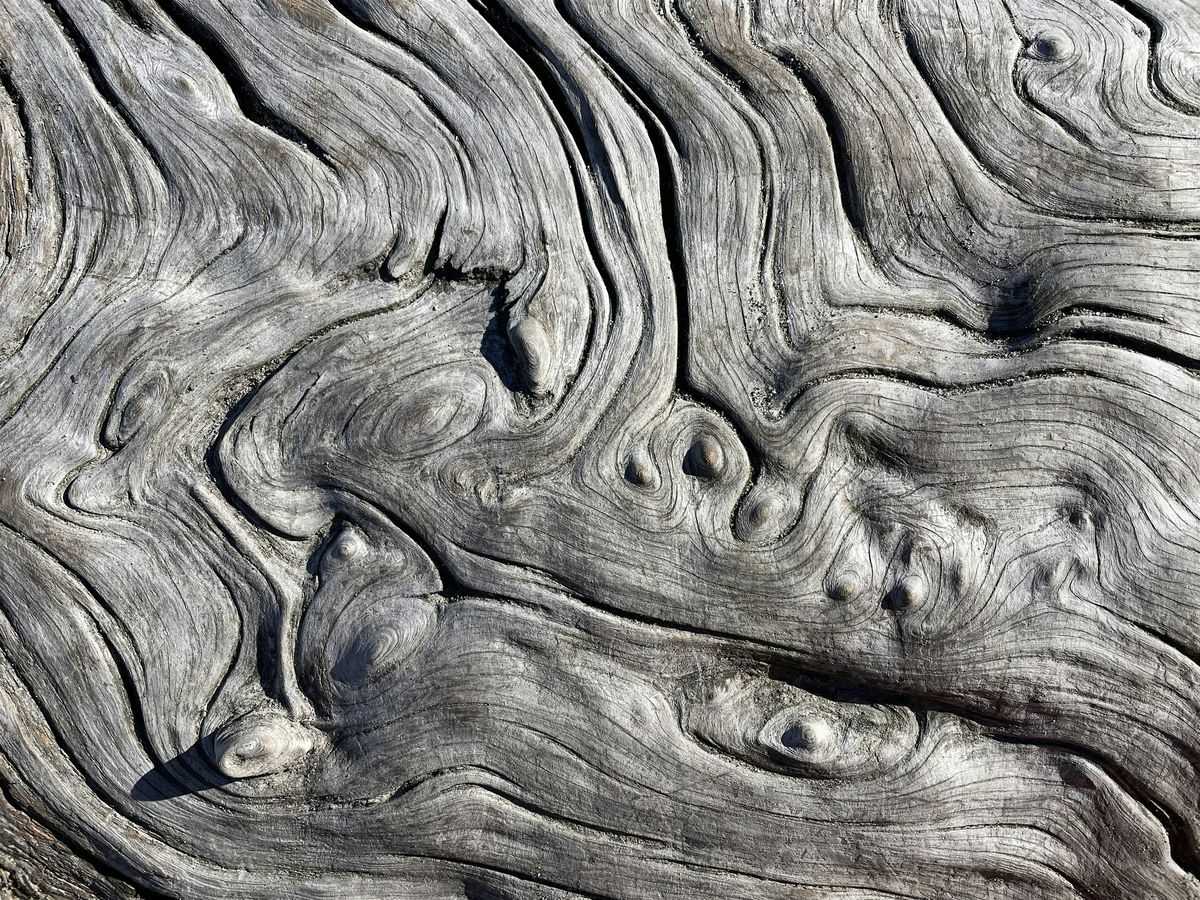 Death Caf\u00e9 & Free Writing Evening