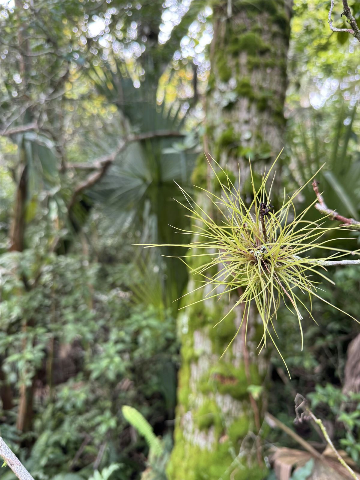 "Off The Beaten Path" Hike