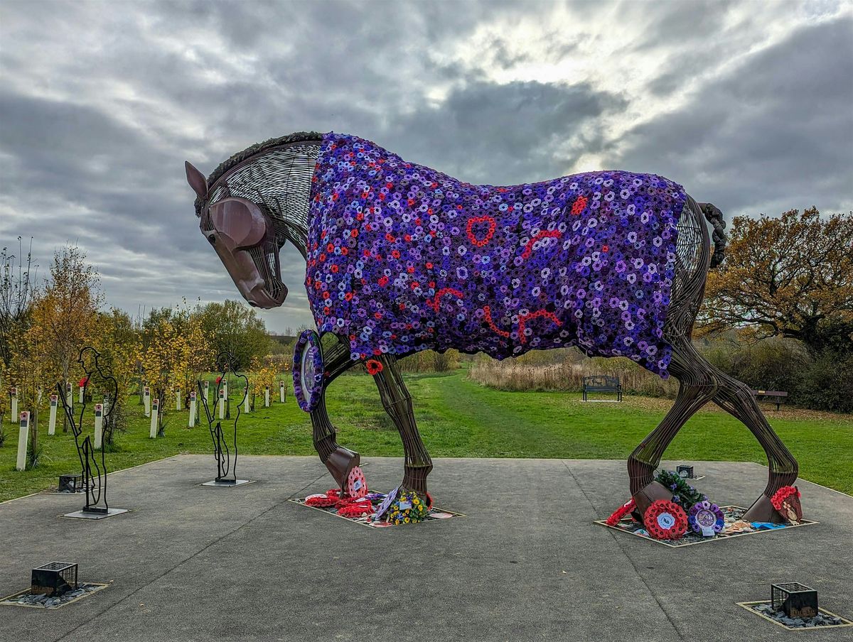 VATA December 2025 Peer Supervision Meetup