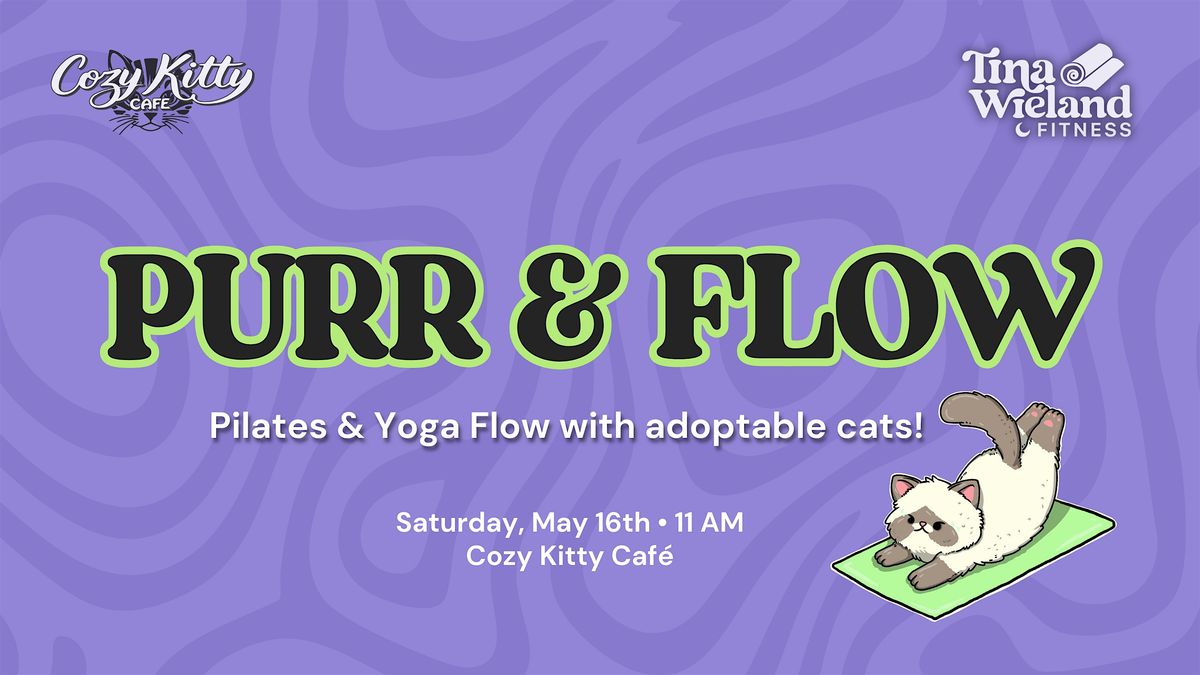 Purr & Flow : Pilates & Yoga with Adoptable Cats!