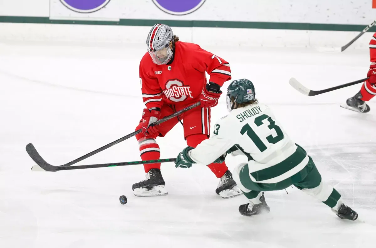 Michigan State Spartans at Ohio State Buckeyes Womens Volleyball