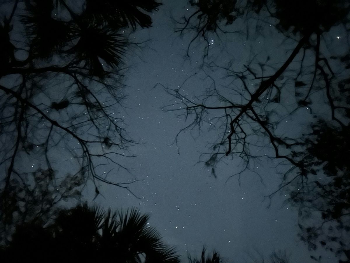 Star Party at The Enchanted Forest Sanctuary