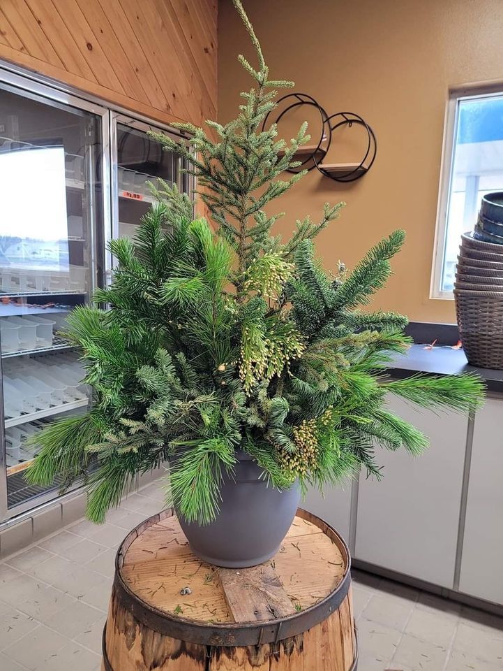 Winter porch pot class The Flower Station, Watertown, SD November