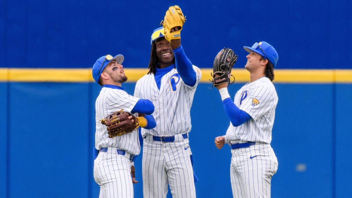 Pittsburgh Panthers at Virginia Tech Hokies Baseball