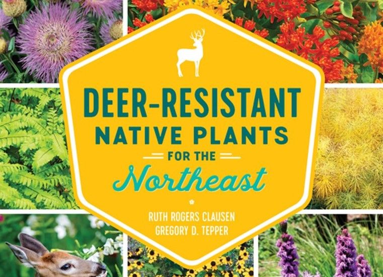 Deer Resistant Native Plants for the Northeast | Friends of the ...